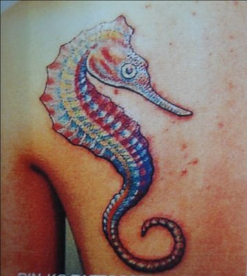 Colorful Seahorse Tattoo On Left Back Shoulder