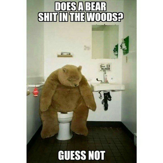Does A Bear Shit In The Woods Funny Bathroom Humor Image