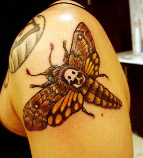 Fantastic Moth Tattoo On Left Shoulder
