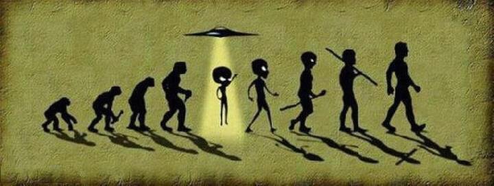 Funny Alien Evolution To Man Picture