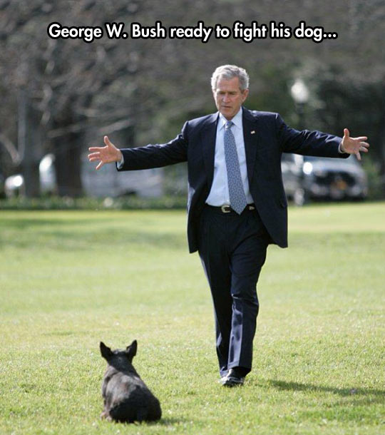 Funny George Bush Ready To Fight His Dog Image