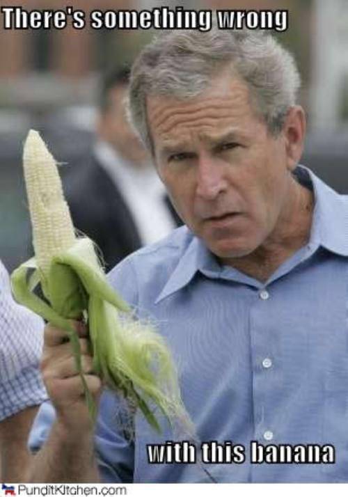 Funny George Bush With Corn