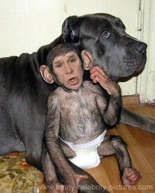 Funny George Bush With Dog Photoshop Picture