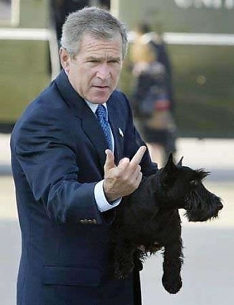 Funny George Bush With Giant Schnauzer Puppy Showing Middle Finger
