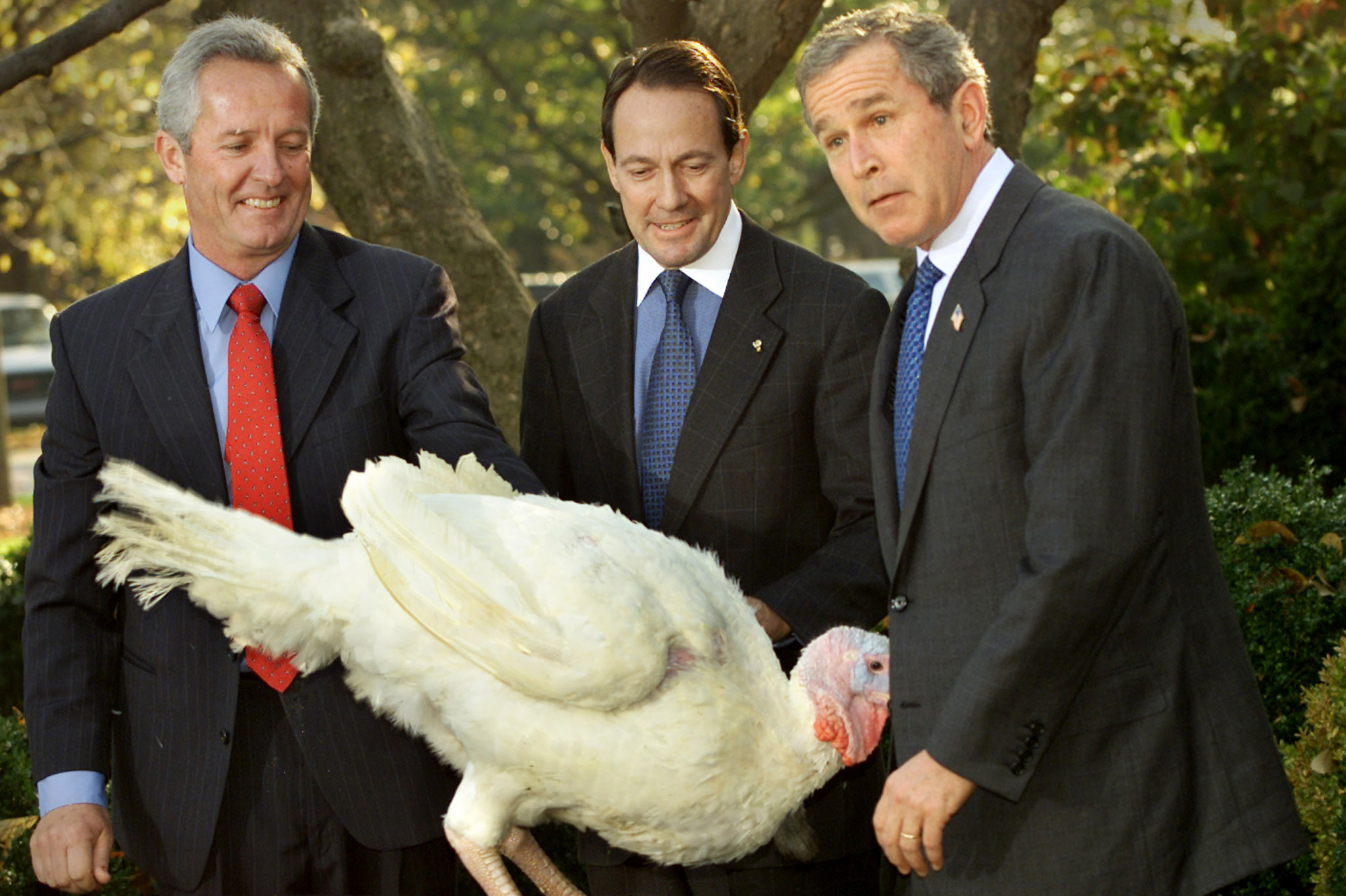 Funny George Bush With Giant Chicken Photoshop Image
