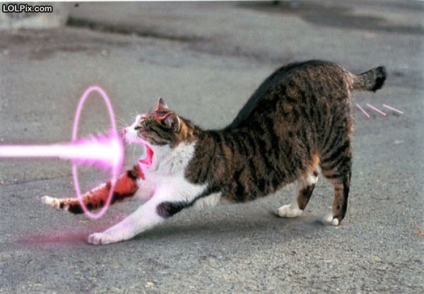 Funny Laser Beam Cat Image