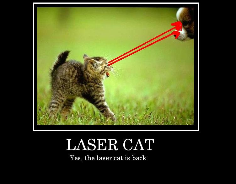 Funny Laser Cat Is Back Poster