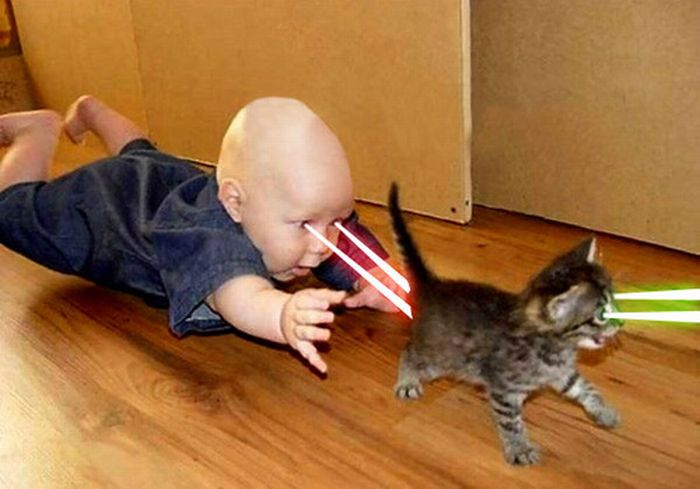 Funny Laser Eyes Baby Trying To Catch Kitty