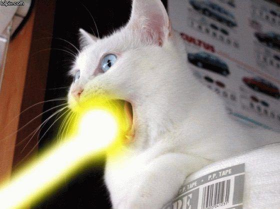 Funny Laser Mouth Cat Picture