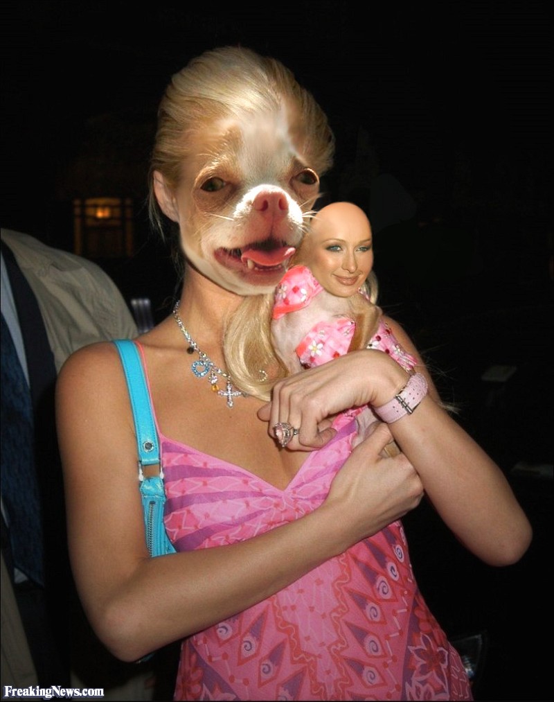 Funny Paris Hilton Swap Puppy Face Photoshop Image