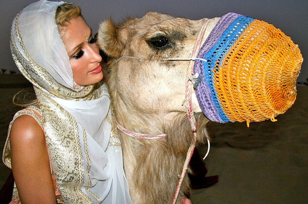 Funny Paris Hilton With Camel