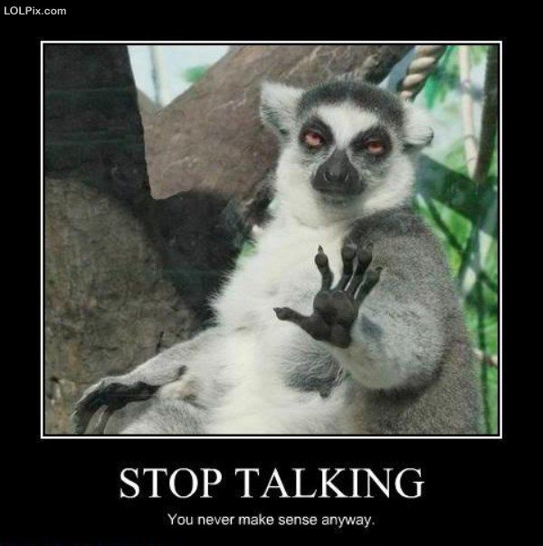 Funny Raccoon Say Stop Talking Poster