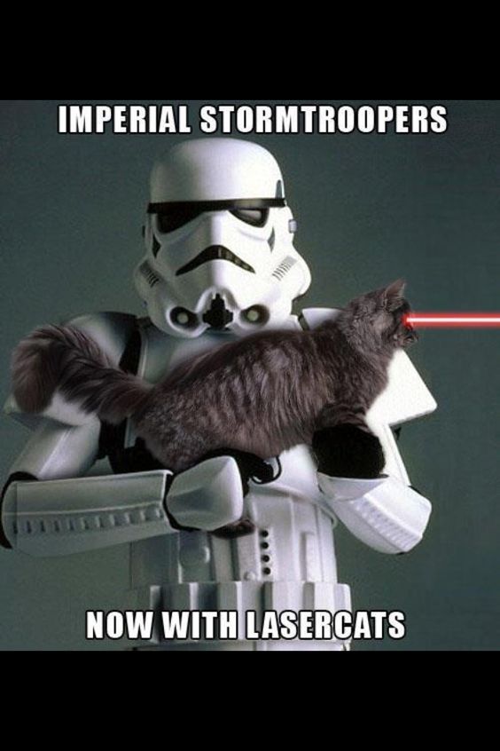 Funny Star War Now With Laser Cat