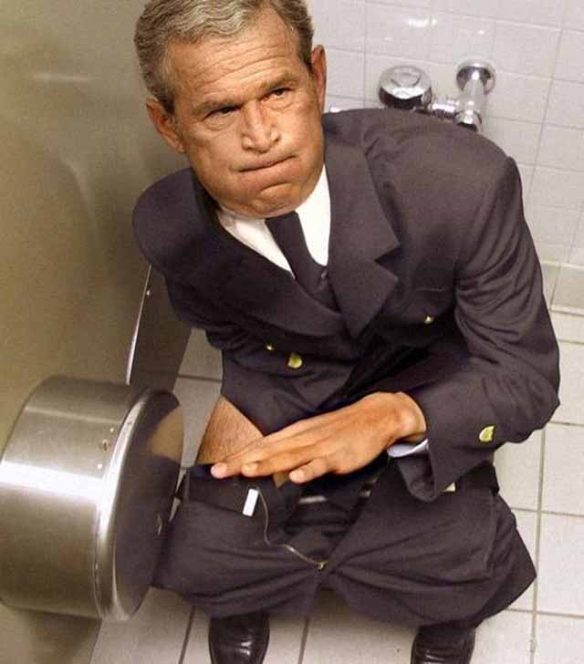 George Bush In Toilet Funny Picture