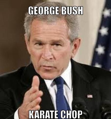 George Bush Karate Chop Funny Picture