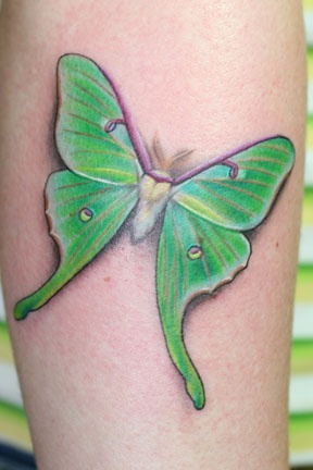 Green Ink Luna Moth Tattoo