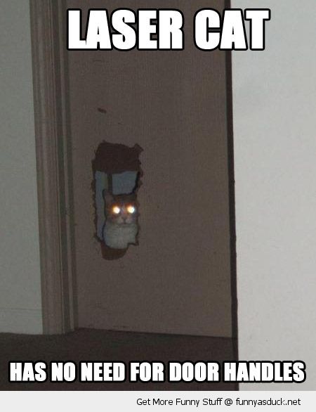 Has No Need For Door Handles Funny Laser Cat Picture