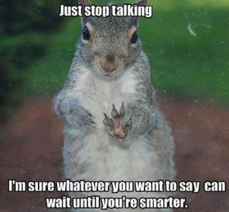 Just Stop Talking Funny Squirrel Image