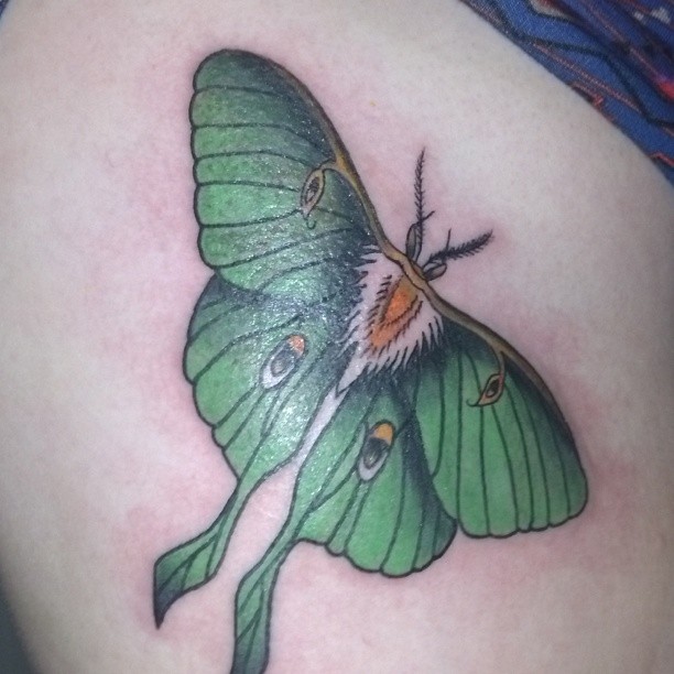 Luna Green Ink Moth Tattoo
