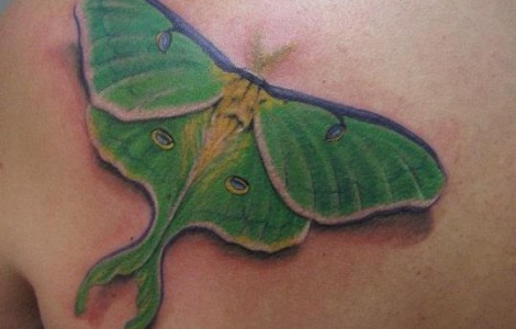 Luna Moth Tattoo On Collarbone