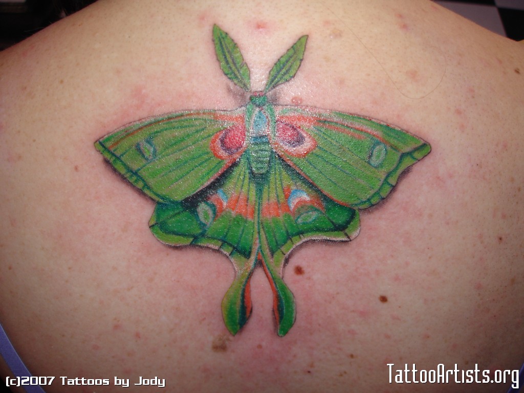 Luna Moth Tattoo On Girl Upper Back