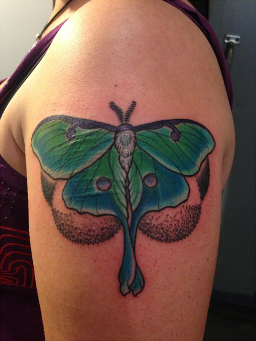 Luna Moth Tattoo On Left Shoulder For Women