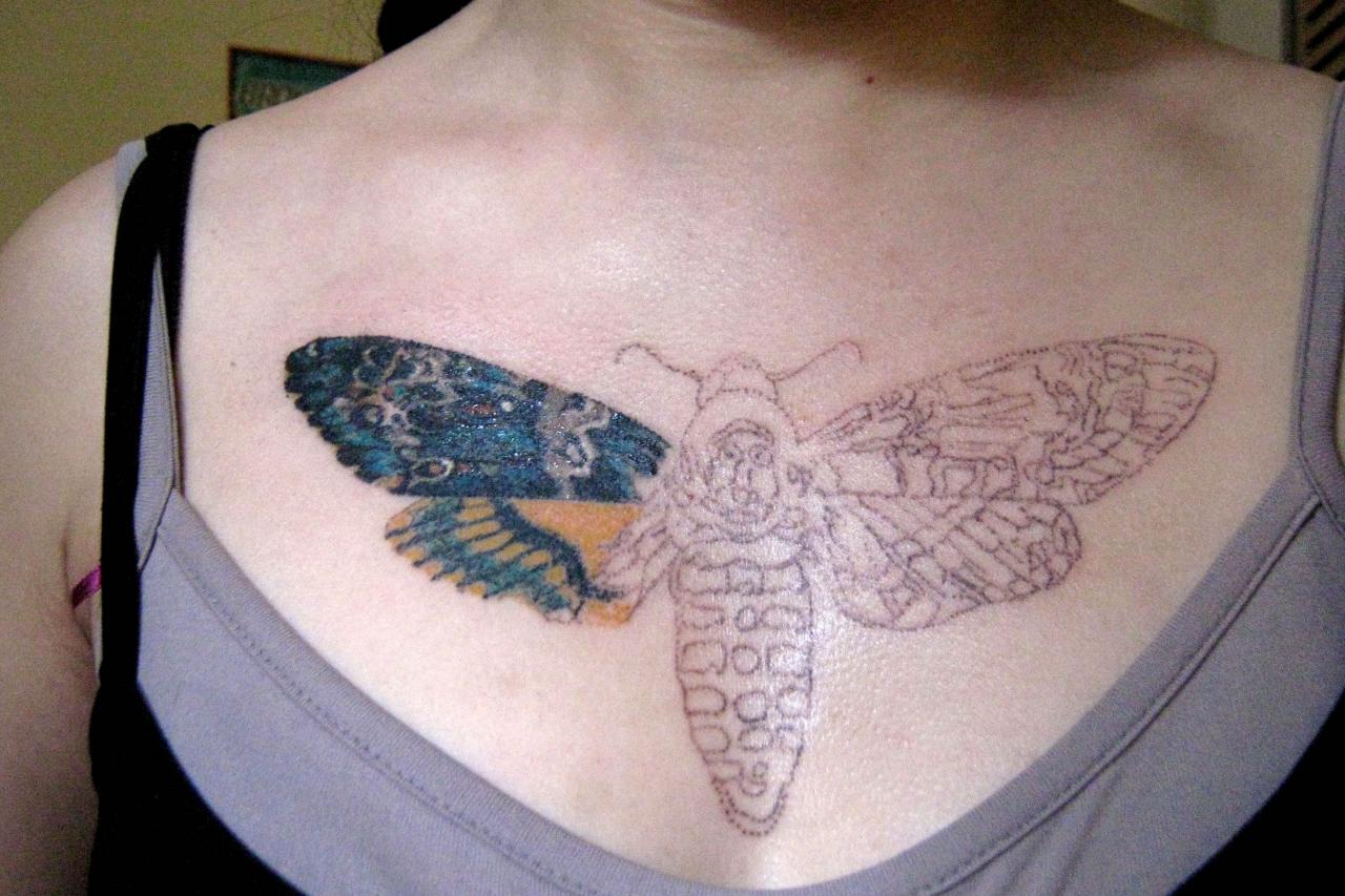 Moth Chest Tattoo For Girls