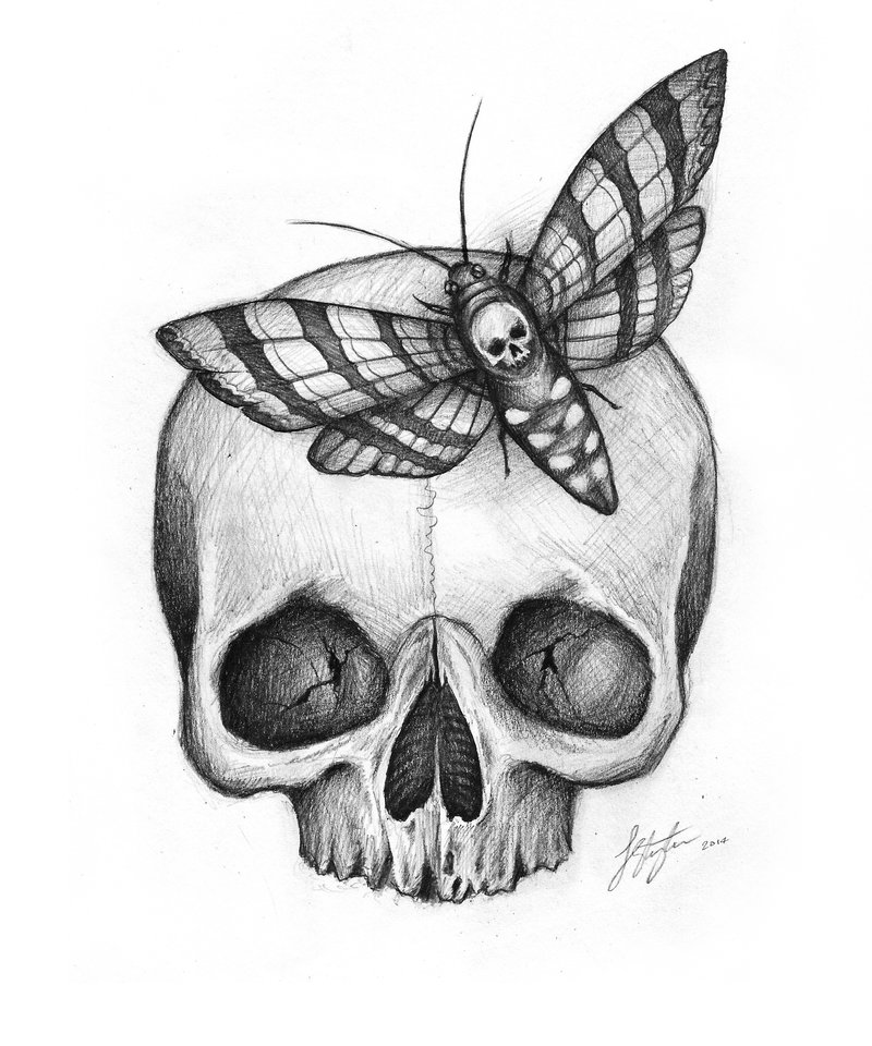 Moth On Skull Tattoo Design