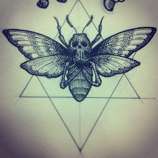 Moth Skull Tattoo Design For Girls