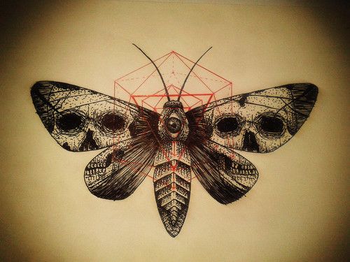 Moth With Skull Tattoo Design
