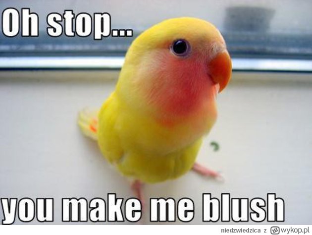 Oh Stop You Make Me Blush Funny Bird Image