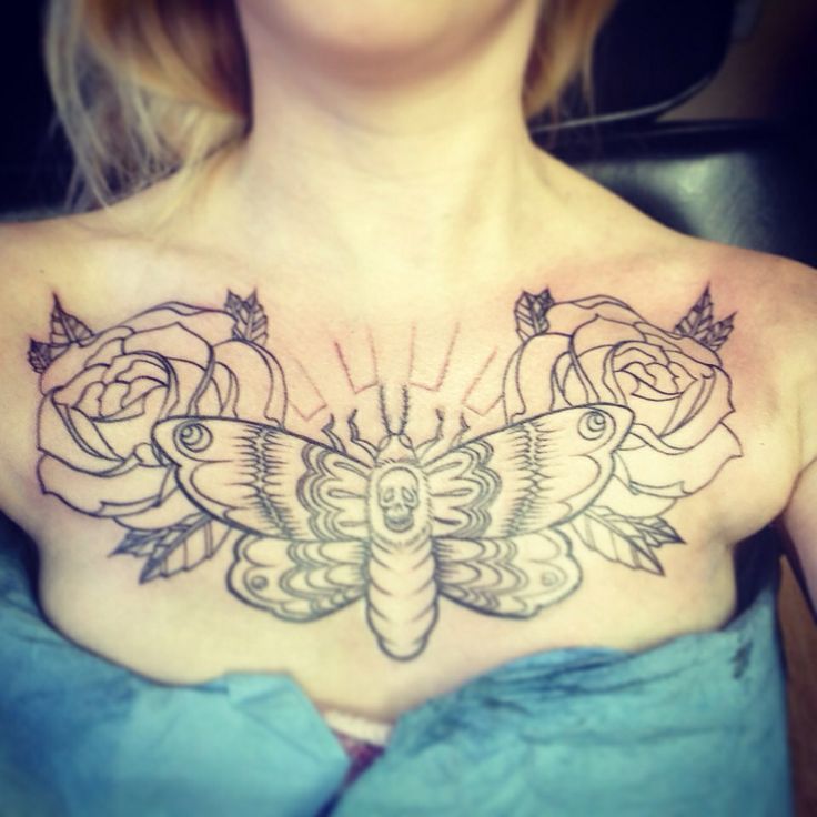 Outline Rose Flowers And Moth Chest Tattoo