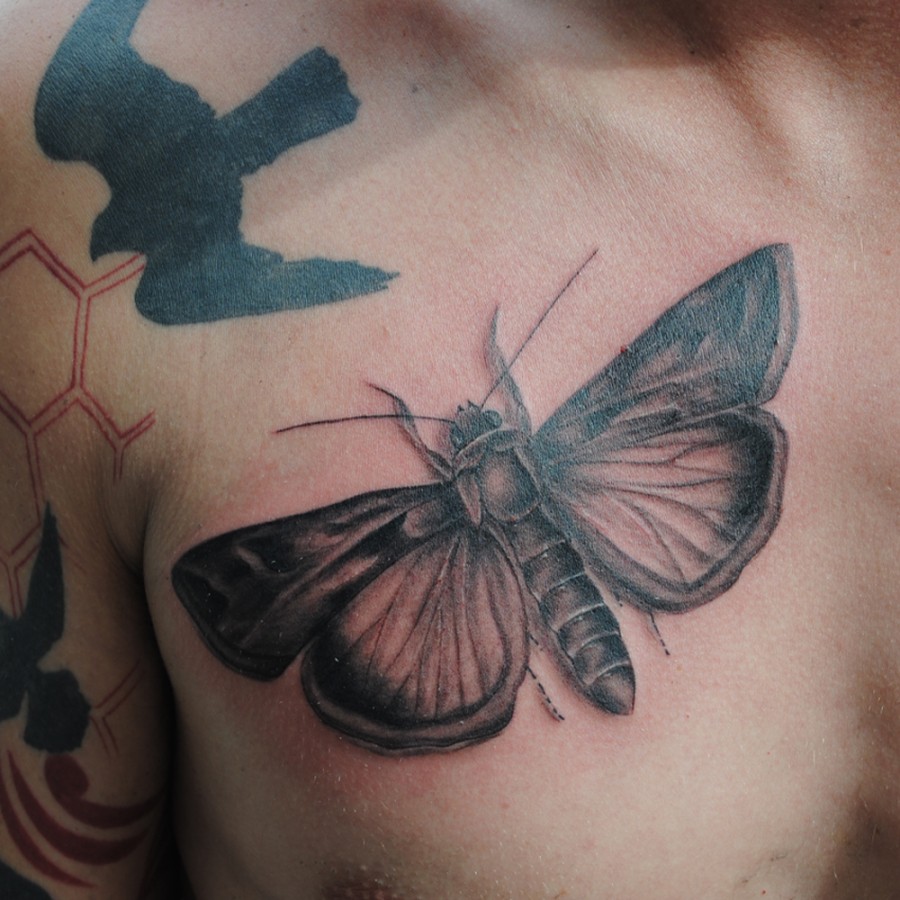 Realistic Grey Ink Moth Chest Tattoo For Men