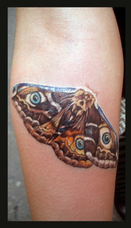 Realistic Moth Tattoo On Arm For Girls