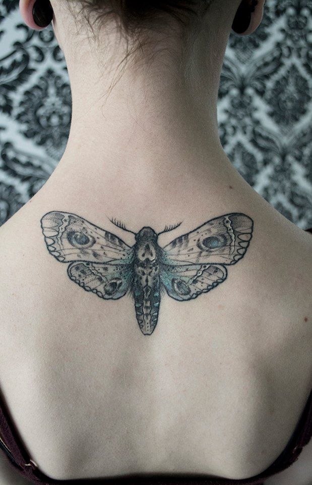 Realistic Moth Tattoo On Upper Back For Girls