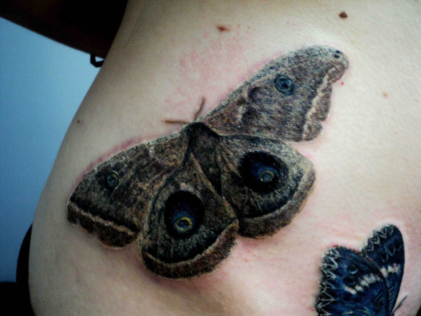 Realistic Moth Tattoo On Waist