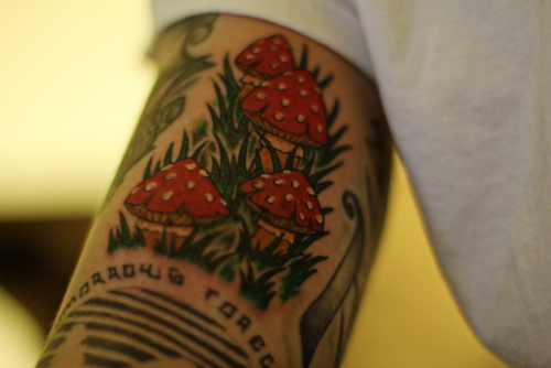Realistic Mushroom Tattoo On Inner Bicep