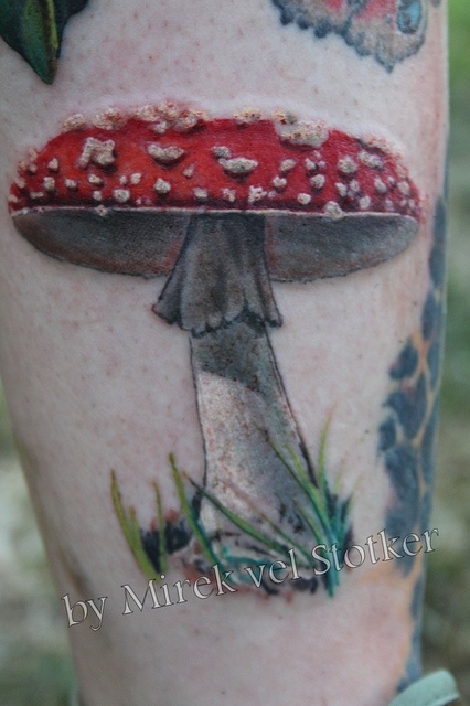 Realistic Mushroom Tattoo On Leg by Mirek vel Stotker