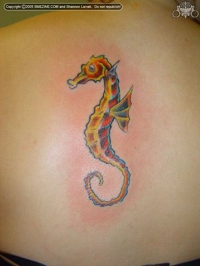 Seahorse Tattoo Design For Upper Back
