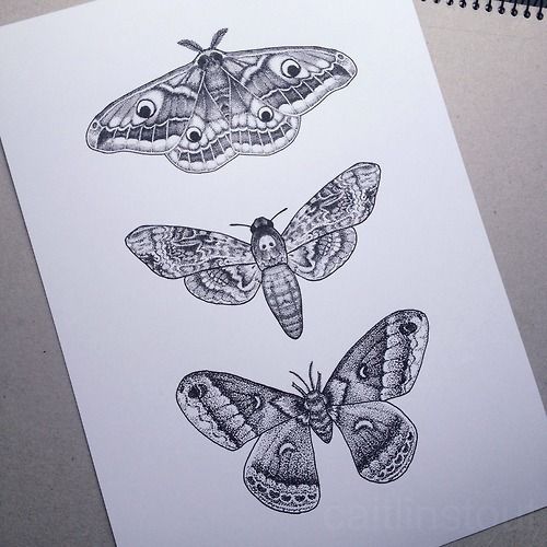 Simple Moth Tattoo Designs