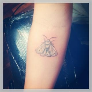 Simple Moth Tattoo On Right Forearm