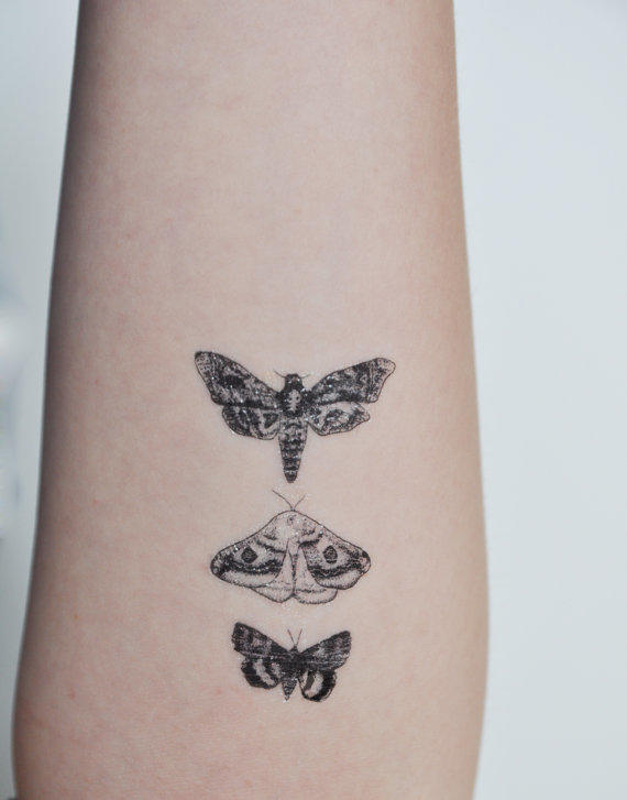Simple Moth Tattoos Designs On Arm