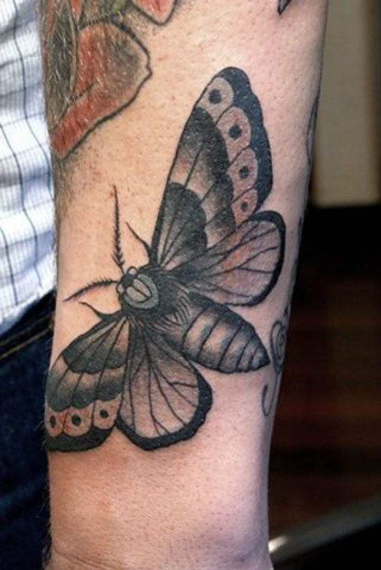 Simple Moth Tattoos On Man Left Arm