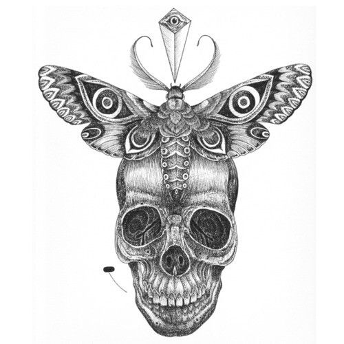 Skull and Moth Tattoo Design Idea