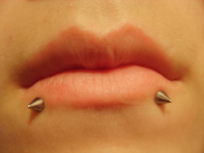 Snake Bites Lip Piercing With Spike Studs