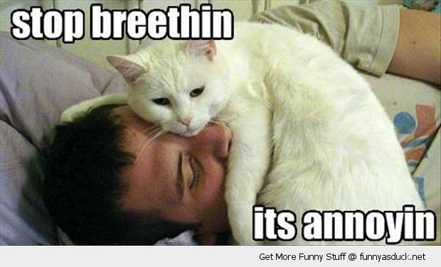 Stop Breathing Its Annoying Funny Cat Picture