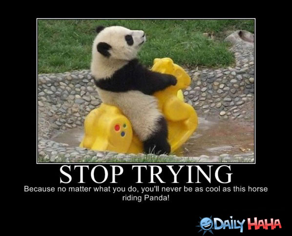 Stop Trying Funny Panda Bear Poster