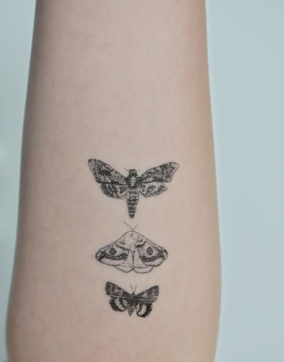 Three Moth Tattoo Design For Forearm