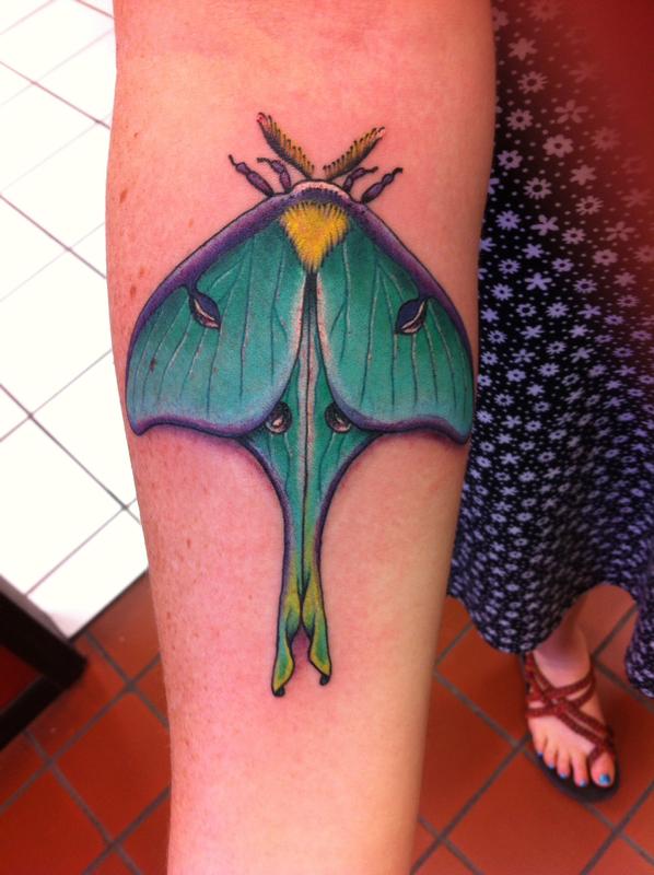 Traditional Luna Moth Tattoo On Girl Right Forearm