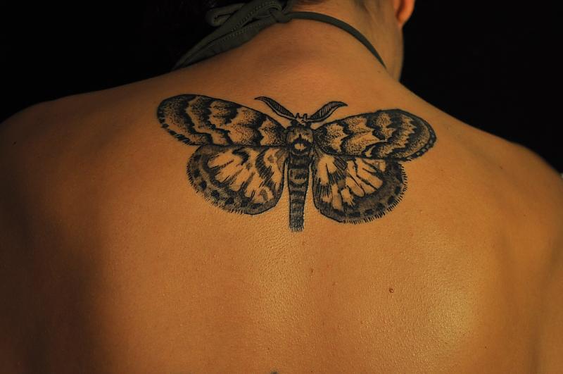 Upper Back Grey Ink Realistic Moth Tattoo Idea